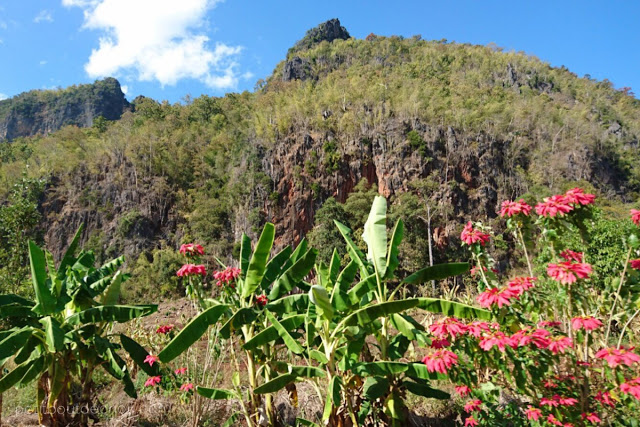 Chiang Dao Countryside