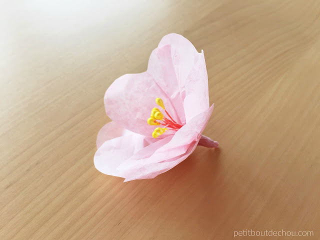 plum blossom flower