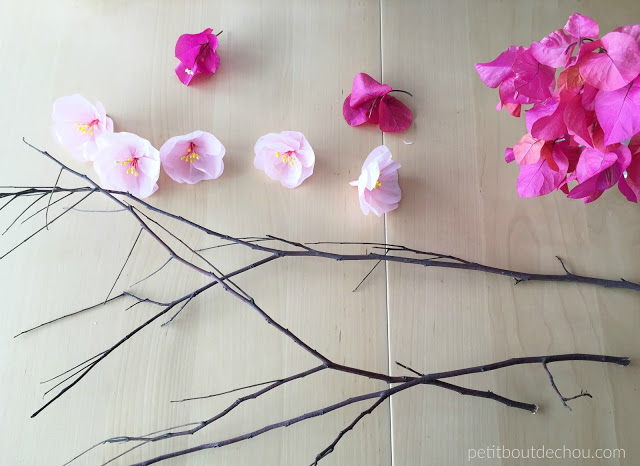 plum blossom flowers and branch