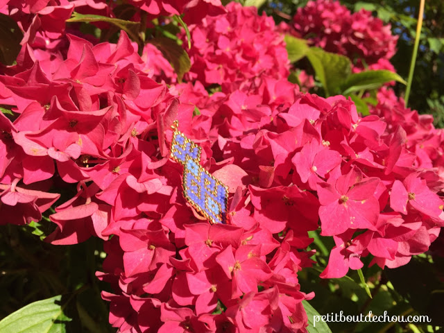 earring in the hydrangea