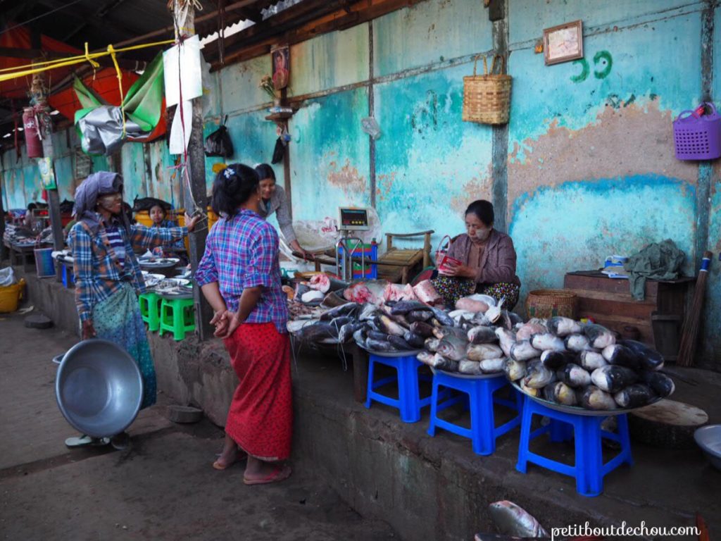 Nyaung U market fishes