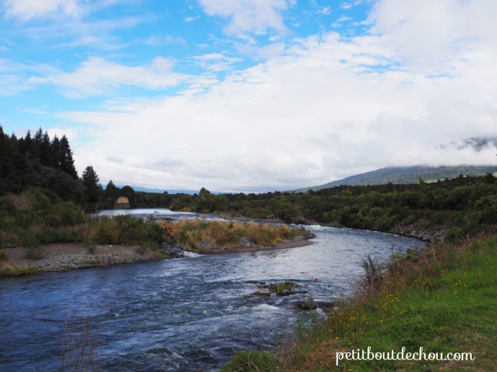 Tongariro river