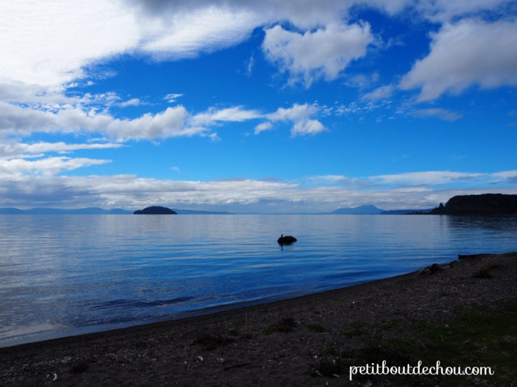 taupo new zealand