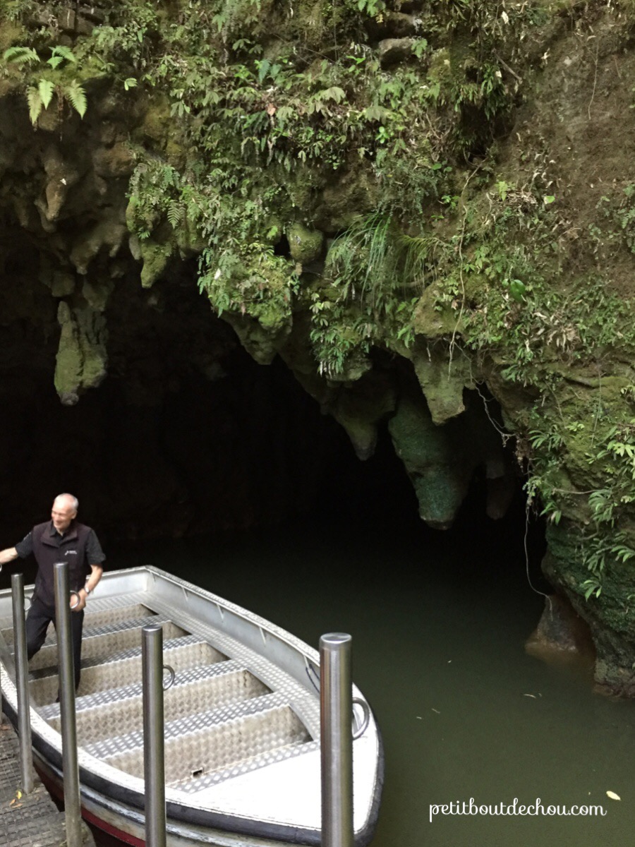 Glowworm cave