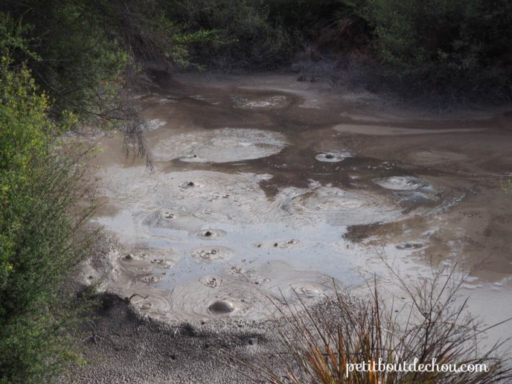 Mud pond