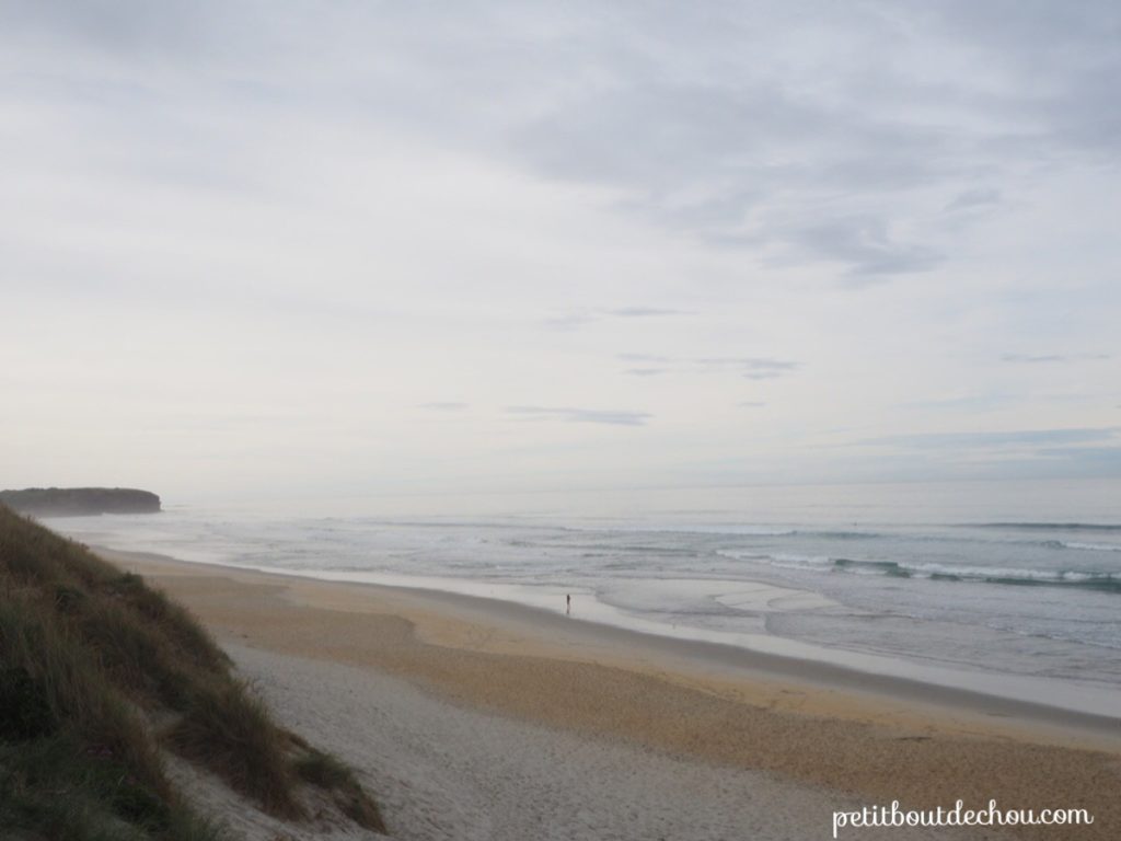 Beach on the West Coast