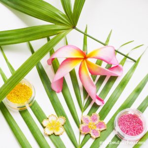 Instagram tropical miyuki contest